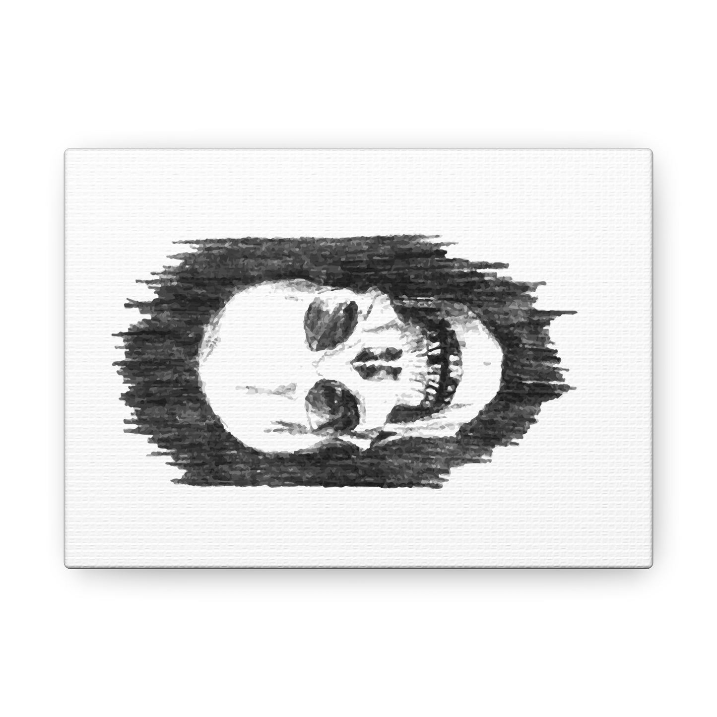 Canvas Gallery Wraps - Skull