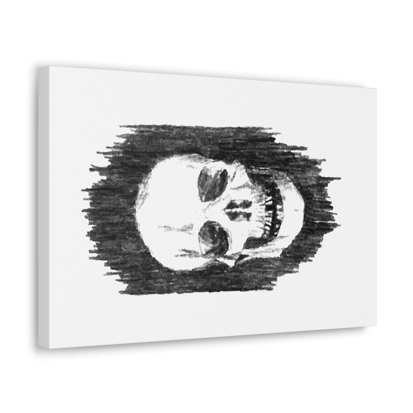 Canvas Gallery Wraps - Skull