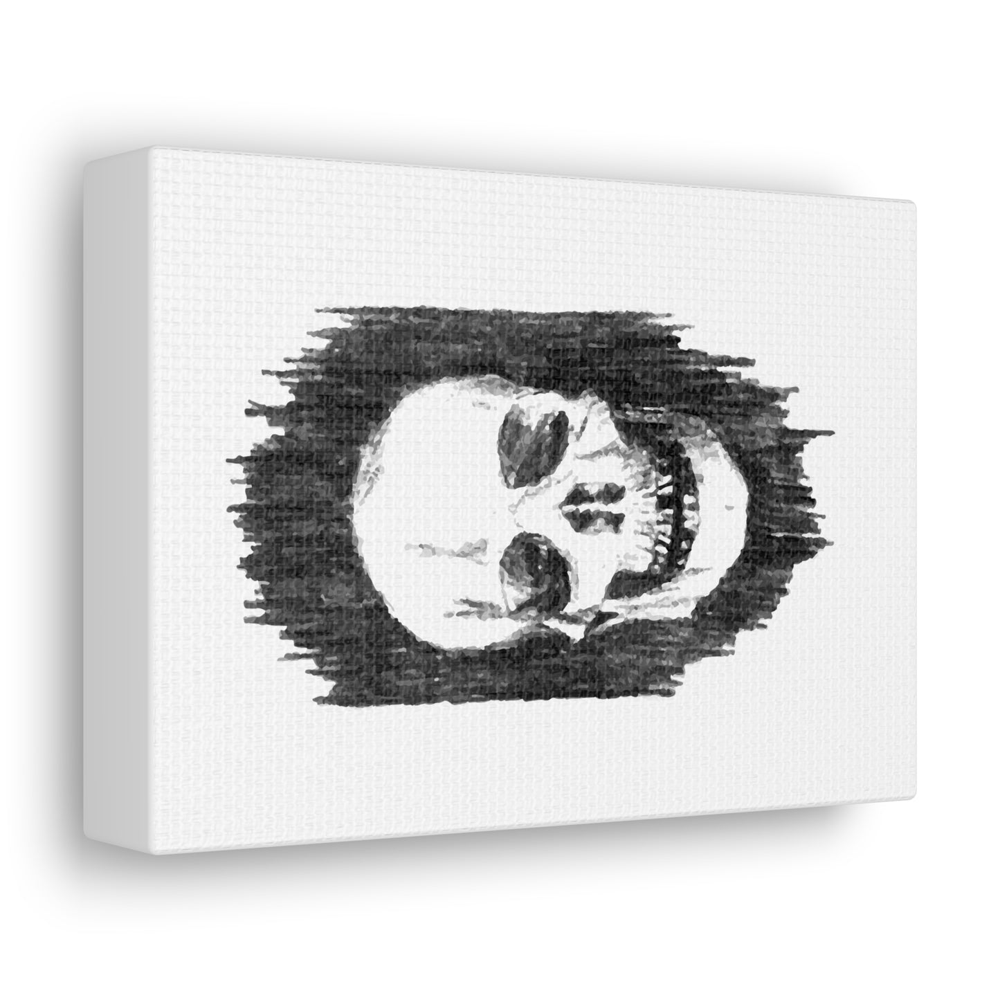 Canvas Gallery Wraps - Skull