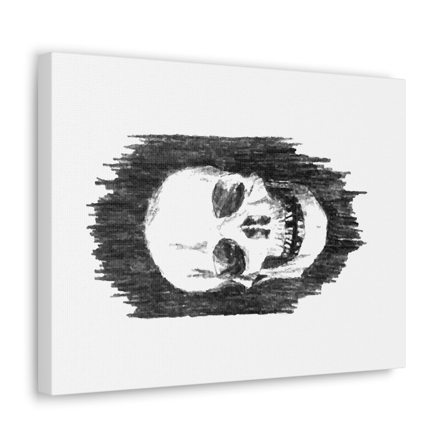 Canvas Gallery Wraps - Skull